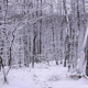 Image for article titled Wendigo Psychosis: the Probably Fake Disease that Turns People into Cannibals